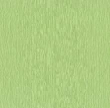Обои 05537-80  (P+S International)