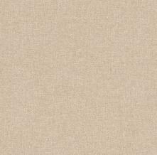 Обои 515756 Etro (Rasch)
