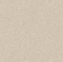 Обои 517521 Etro (Rasch)