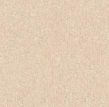 Обои 517538 Etro (Rasch)