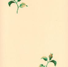 Обои 52714 Gardena (Limonta)
