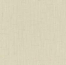 Обои 02461-20  (P+S International)