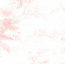 Обои 37005