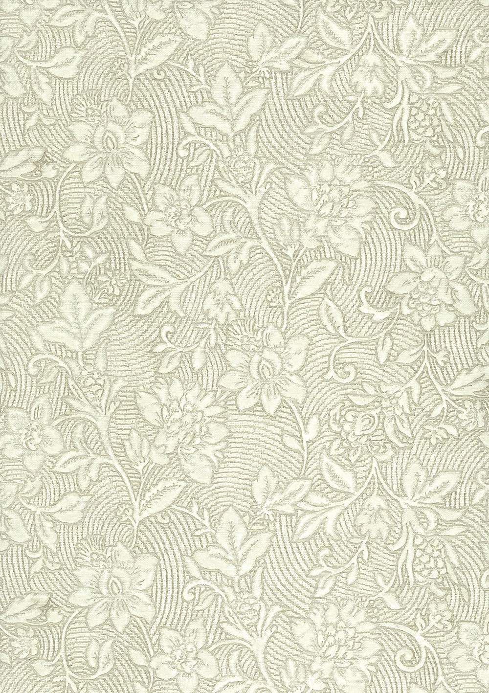 37203 Violetta  Limonta