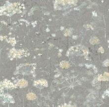 Обои NA0541 Candice Olson Botanical Dreams (YORK)