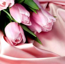 Обои 1124 Цветы фотообои (Walldeco)