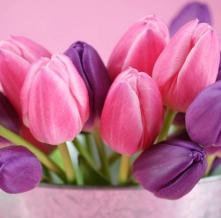 Обои 1132 Цветы фотообои (Walldeco)