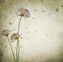 Обои 12643 Цветы фотообои (Walldeco)