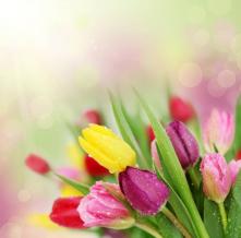 Обои 1320 Цветы фотообои (Walldeco)