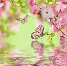Обои 14074 Цветы фотообои (Walldeco)