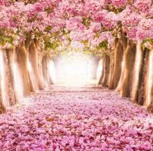 Обои 14973 Цветы фотообои (Walldeco)