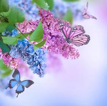 Обои 15233 Цветы фотообои (Walldeco)