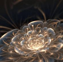 Обои 23403 3D фотообои (Walldeco)