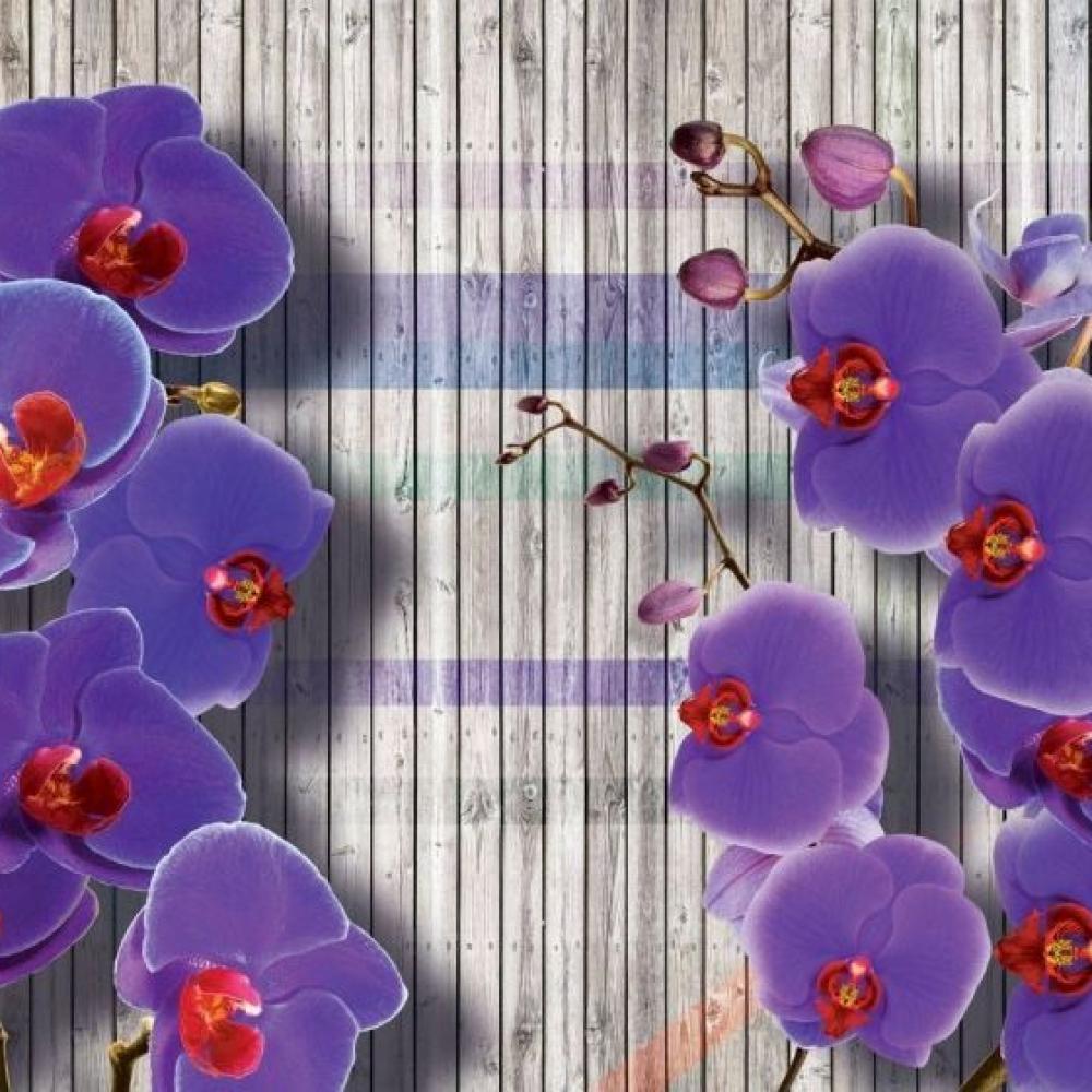 Обои 29361 3D фотообои (Walldeco): фото, зображення, колір, малюнок