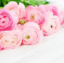 Обои 29612 Цветы фотообои (Walldeco)