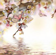 Обои 29693 Цветы фотообои (Walldeco)