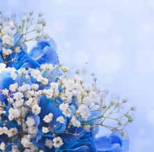 Обои 29847 Цветы фотообои (Walldeco)