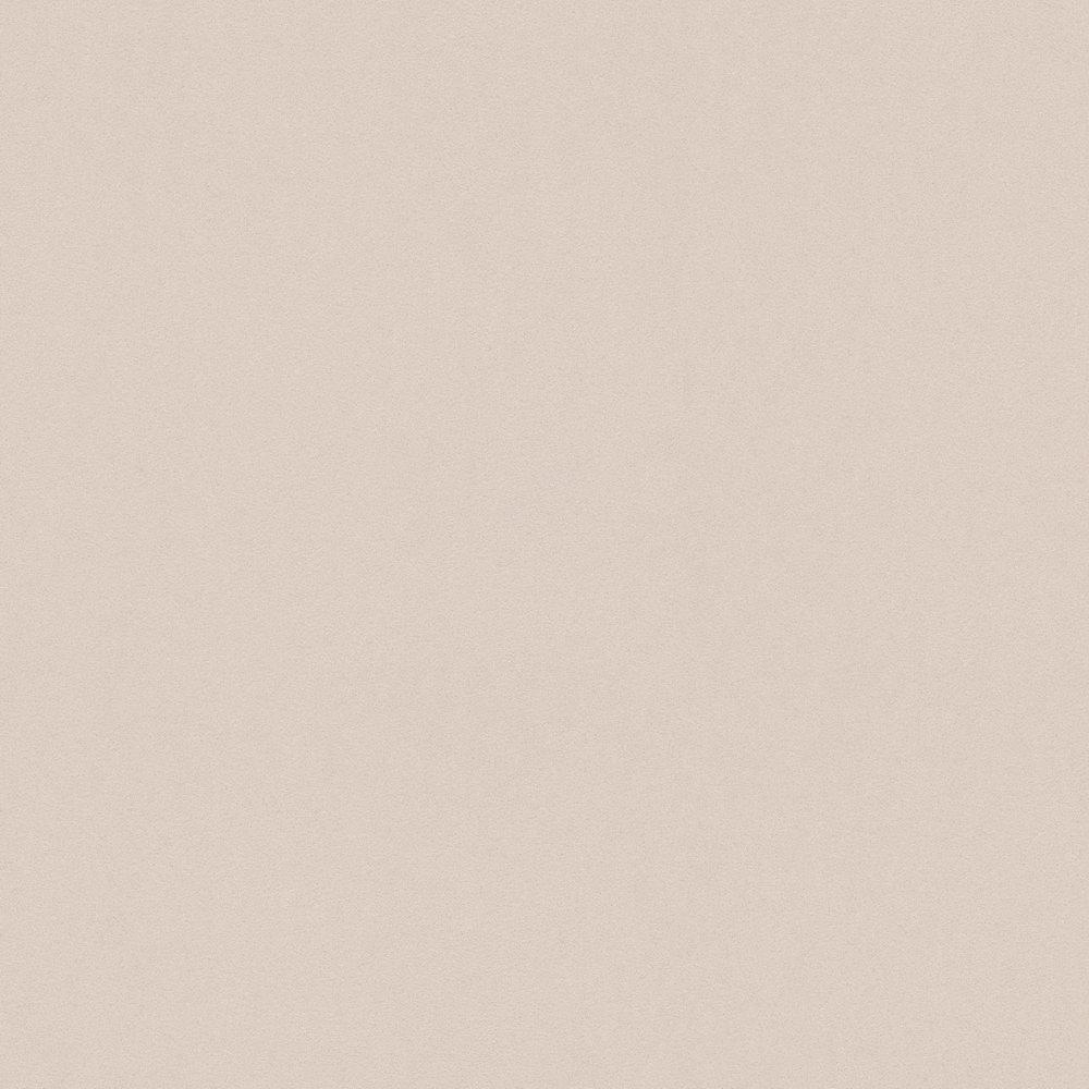 Обои 3032-26 New Life (AS Creation): фото, зображення, колір, малюнок