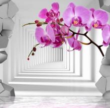 Обои 30940 3D фотообои (Walldeco)