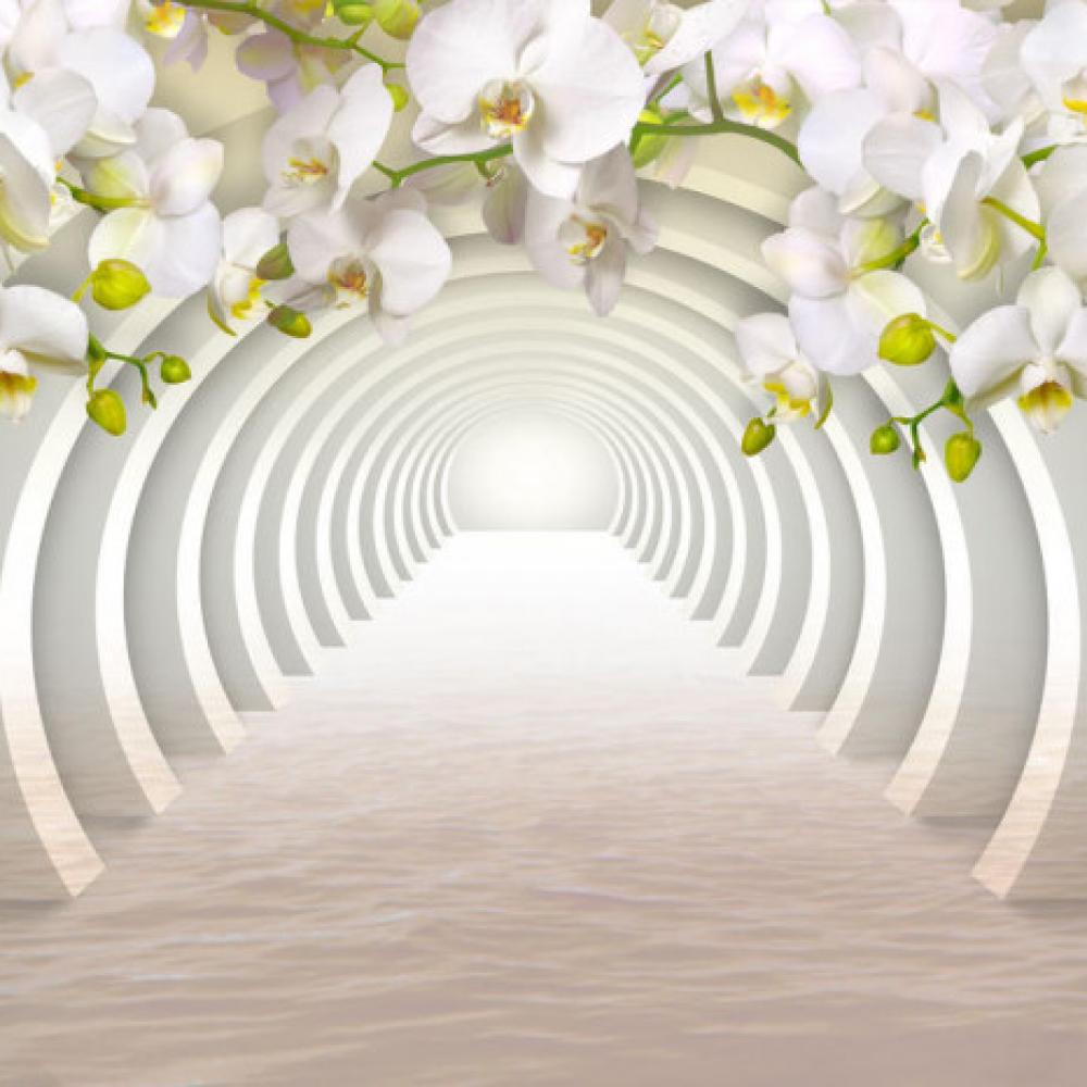 Обои 30946 3D фотообои (Walldeco): фото, зображення, колір, малюнок