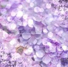 Обои 33352 Цветы фотообои (Walldeco)