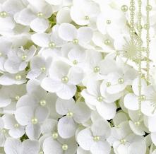 Обои 34160 3D фотообои (Walldeco)