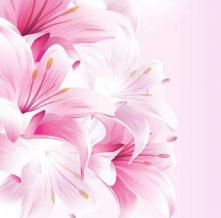 Обои 3492 Цветы фотообои (Walldeco)