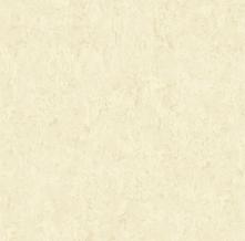 Обои 37228-5 Romantico (AS Creation)
