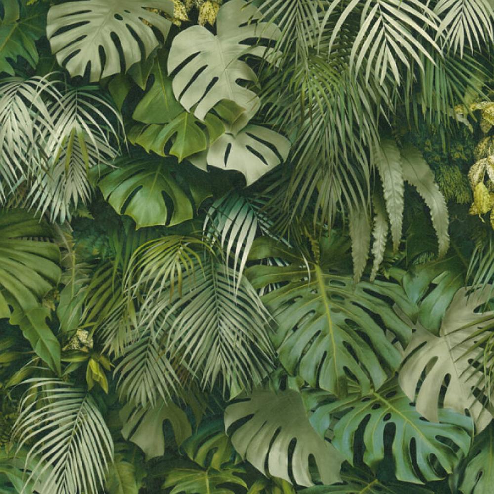 Обои 37280-2 Greenery (AS Creation): фото, зображення, колір, малюнок