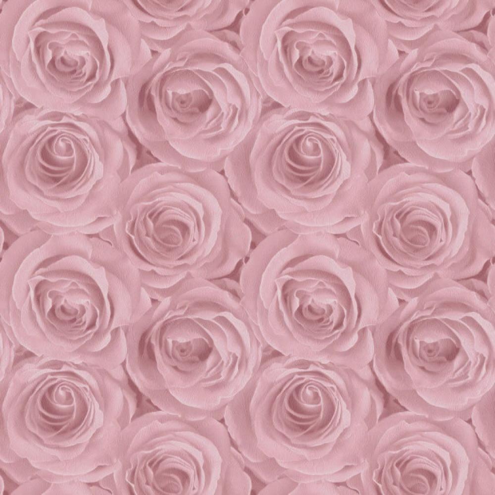 Обои 37644-1 Roses (AS Creation): фото, зображення, колір, малюнок