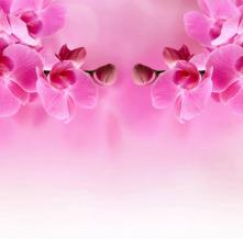 Обои 4090 Цветы фотообои (Walldeco)