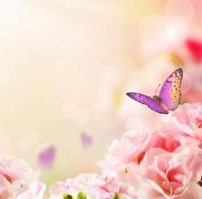 Обои 4127 Цветы фотообои (Walldeco)