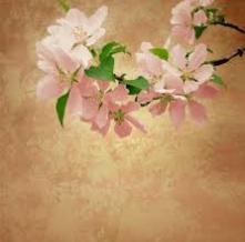 Обои 4517 Цветы фотообои (Walldeco)