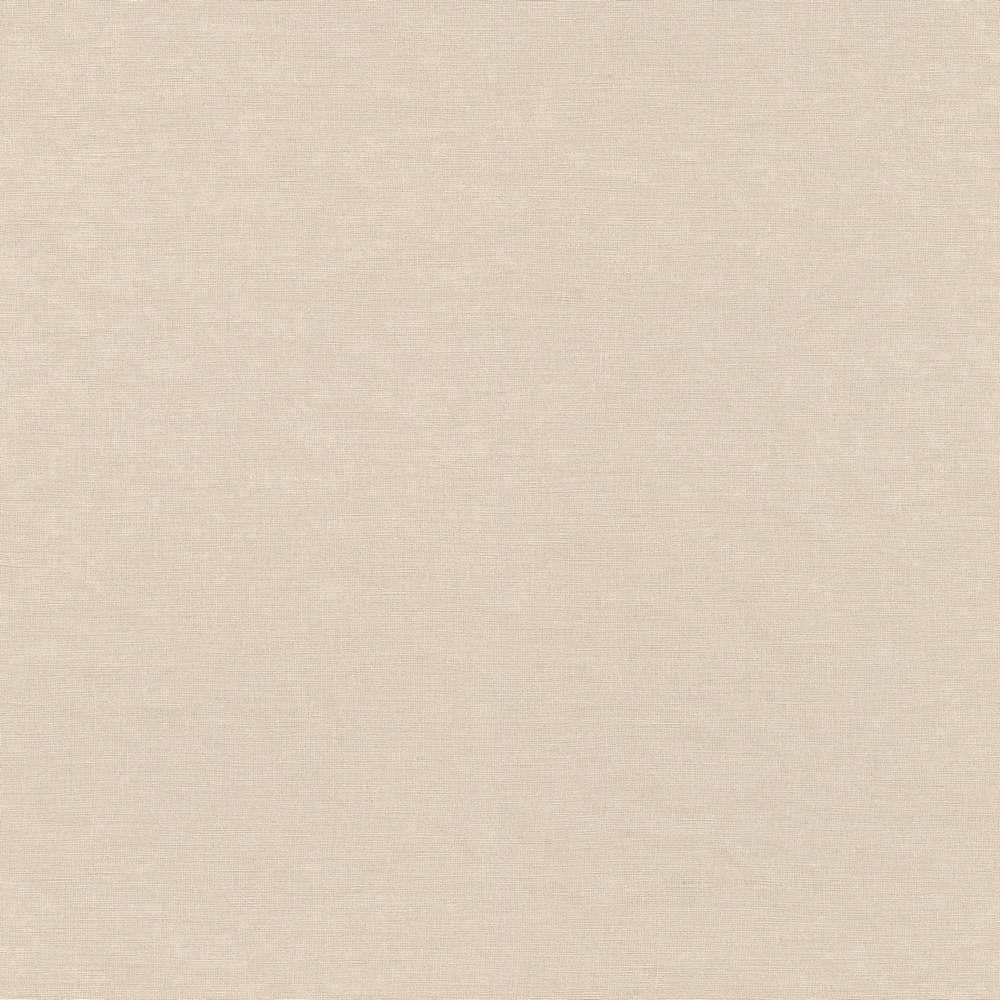 Обои 464016 Freundin Home Collection III (Rasch): фото, зображення, колір, малюнок