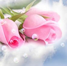 Обои 5855 Цветы фотообои (Walldeco)