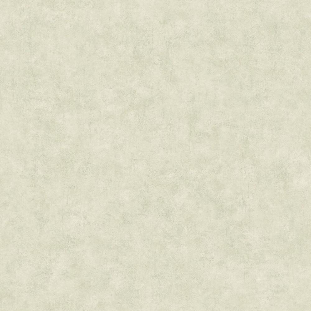 Обои BTO101487140 BETON 2 (Caselio): фото, зображення, колір, малюнок