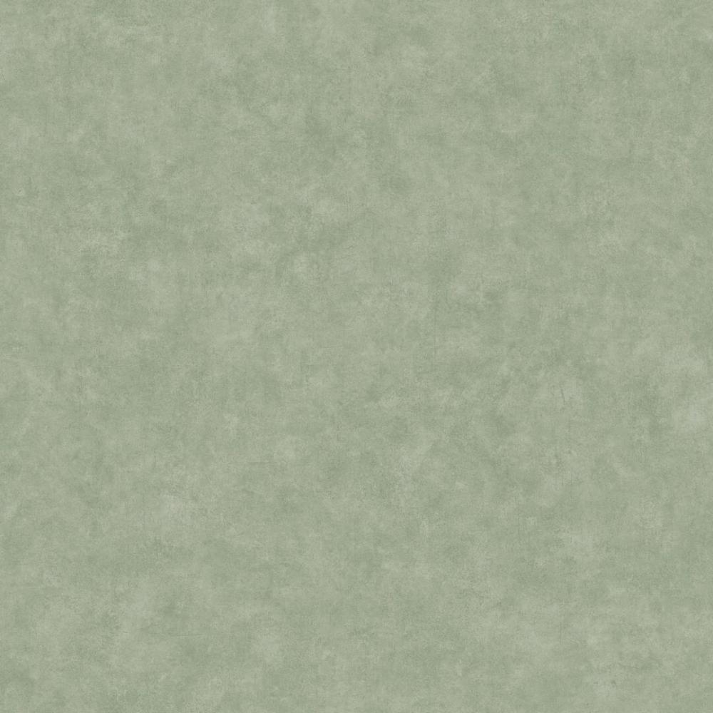 Обои BTO101487332 BETON 2 (Caselio): фото, зображення, колір, малюнок