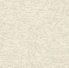 Обои 960600 Poetry 1,06 (Rasch)