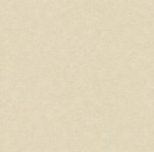 Обои 39598-1 Colour of Amber (AS Creation)