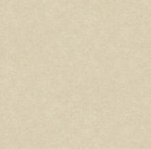 Обои 39598-5 Colour of Amber (AS Creation)