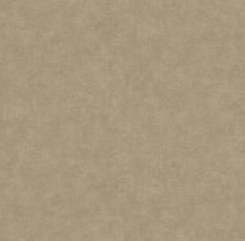 Обои 39599-2 Colour of Amber (AS Creation)