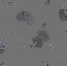 Обои DI0999