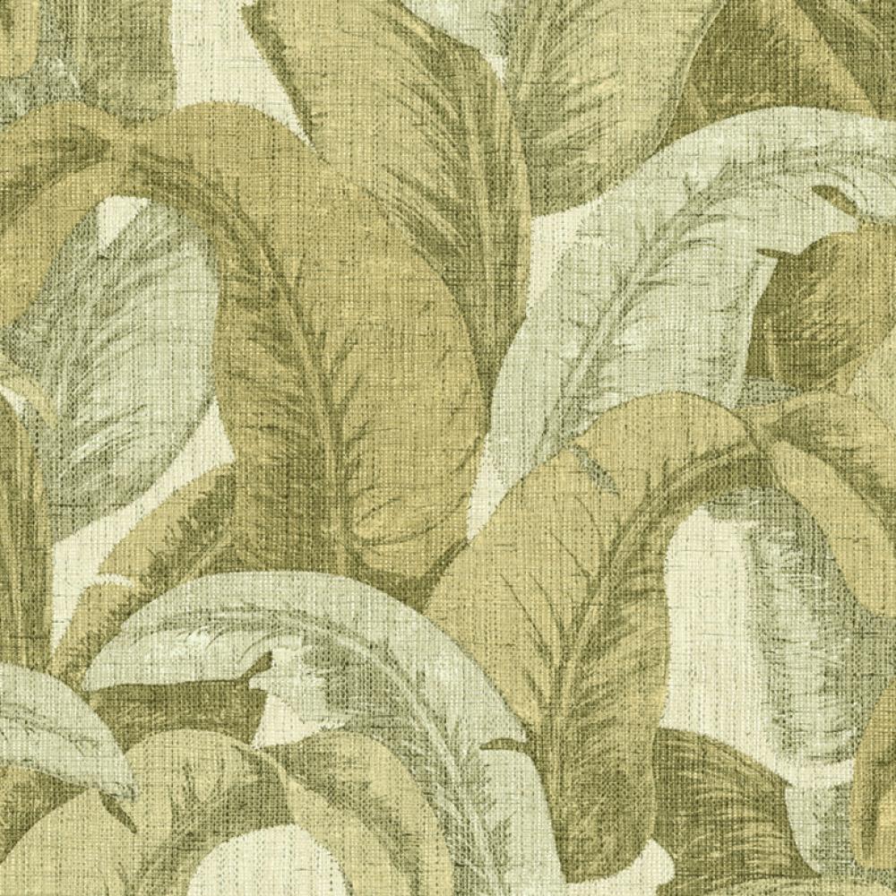 Обои OG22331 Ogoni (Decoprint): фото, зображення, колір, малюнок