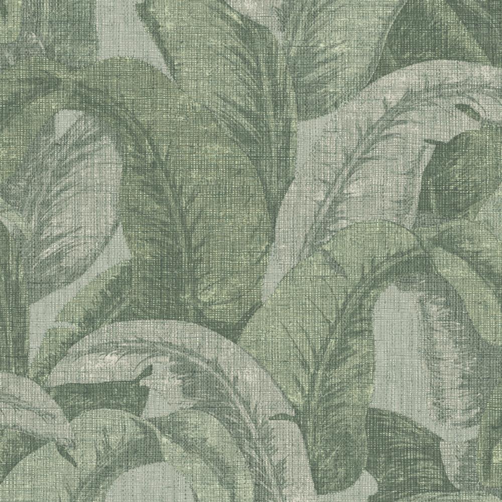 Обои OG22332 Ogoni (Decoprint): фото, зображення, колір, малюнок