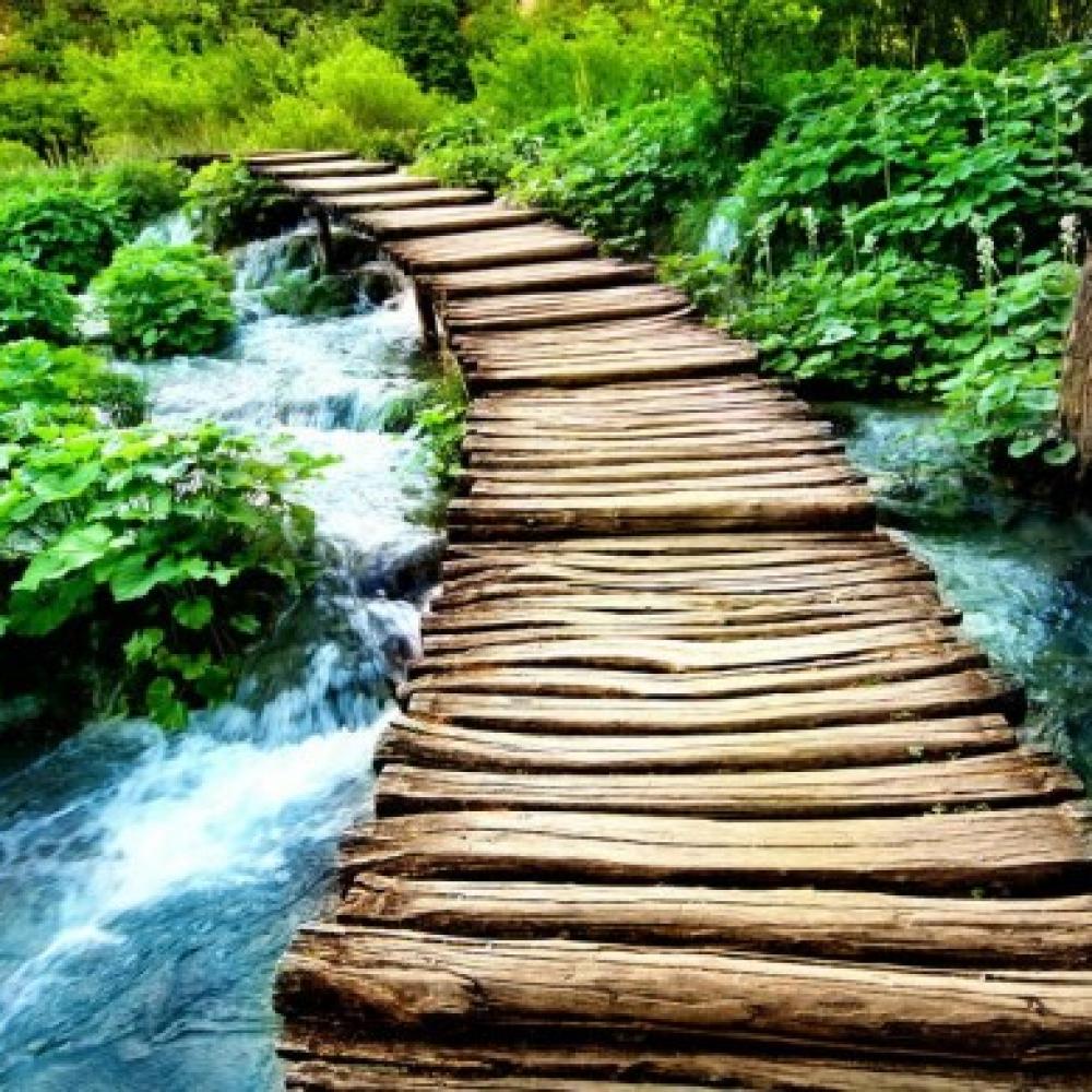 Обои 0112 Природа фотообои (Walldeco): фото, зображення, колір, малюнок