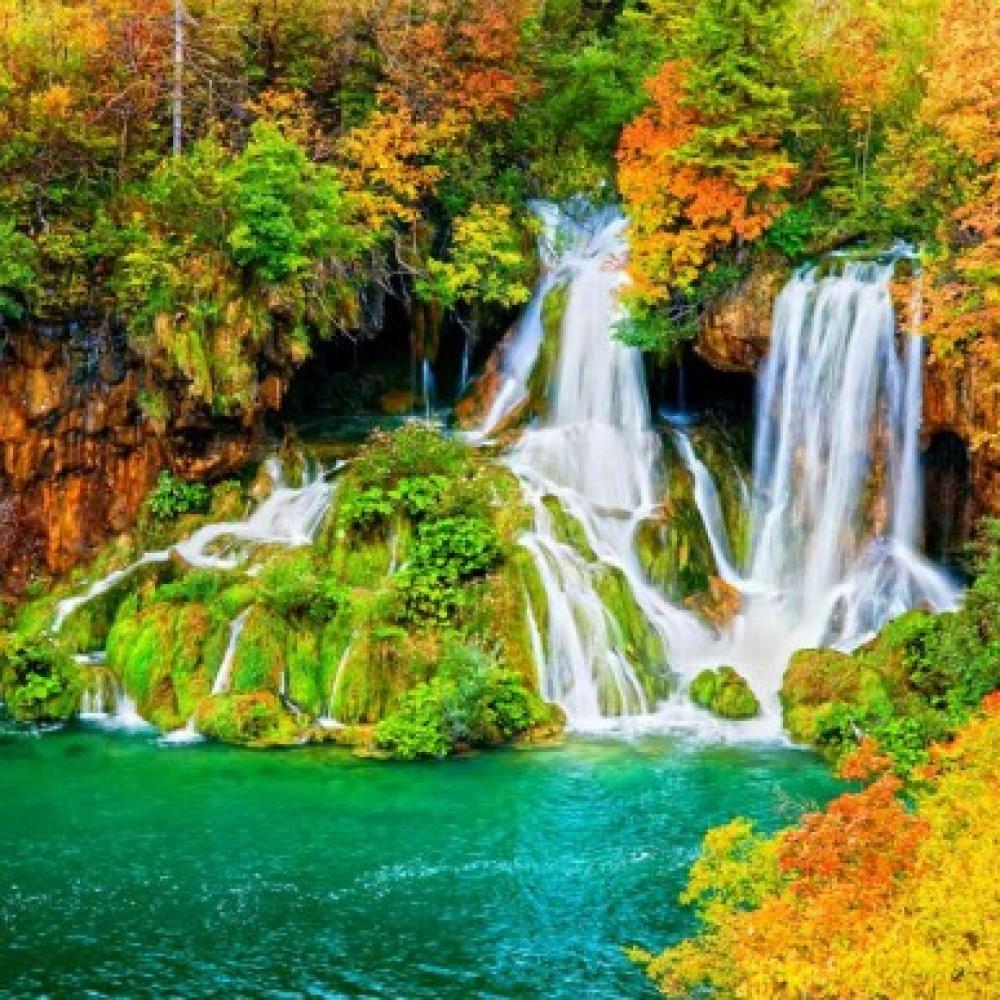 Обои 0123 Природа фотообои (Walldeco): фото, зображення, колір, малюнок