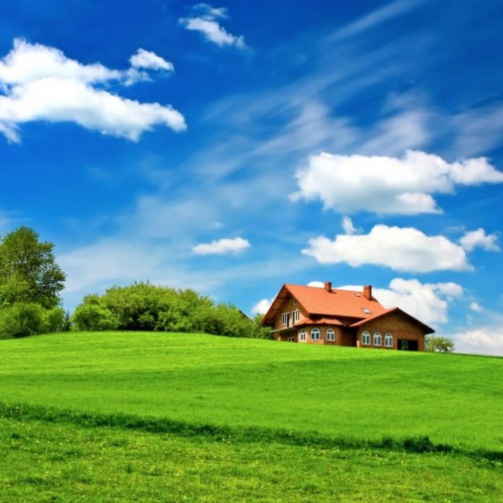 Обои 0125 Природа фотообои (Walldeco): фото, зображення, колір, малюнок