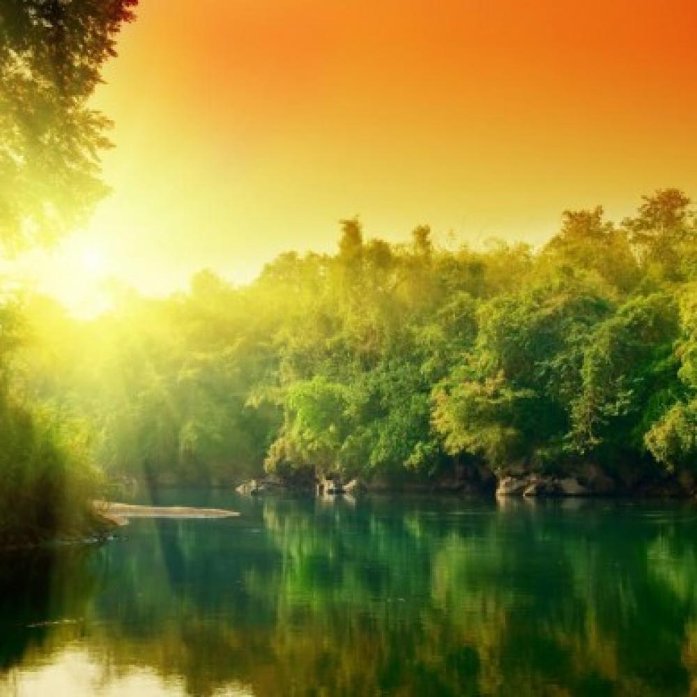 Обои 0131 Природа фотообои (Walldeco): фото, зображення, колір, малюнок