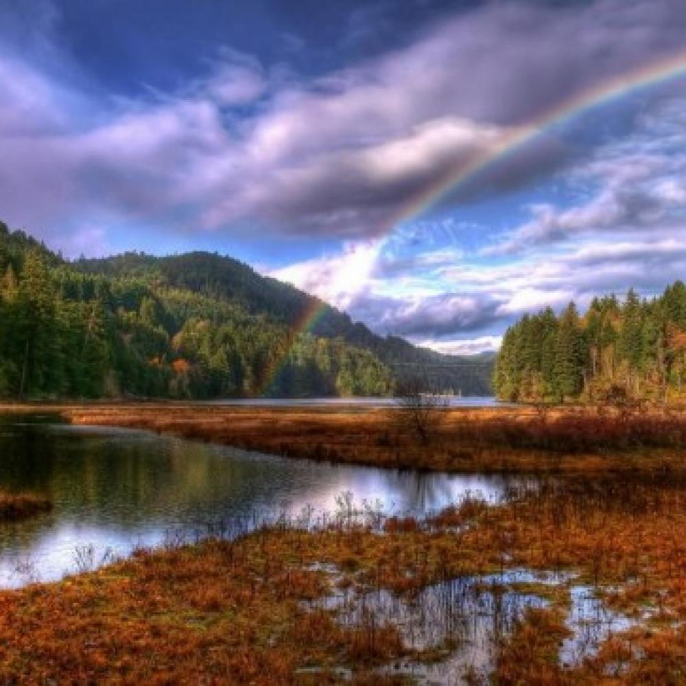 Обои 0728 Природа фотообои (Walldeco): фото, зображення, колір, малюнок