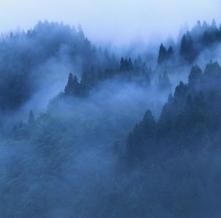 Обои 0806 Природа фотообои (Walldeco)